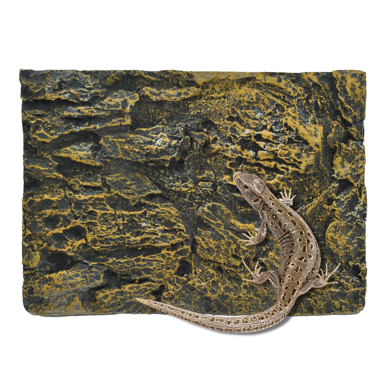 Mua Reptile Tank Background Board Rock Terrarium Cork Background Board