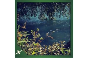 River Flow - Feel the Flow in Your Way