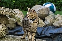 Cat Tracker RF Finder Longest Range up to 1600 ft