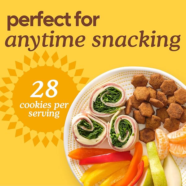 SIMPLE MILLS CINNAMON BURST SWEET MMMS BAKED SWEET SNACKS, BITE-SIZED GLUTEN FREE CINNAMON SNACKS SWEETENED WITH COCONUT SUGAR, LIGHT AND AIRY CRISPY TEXTURE, 1 PACK, 4 OZ