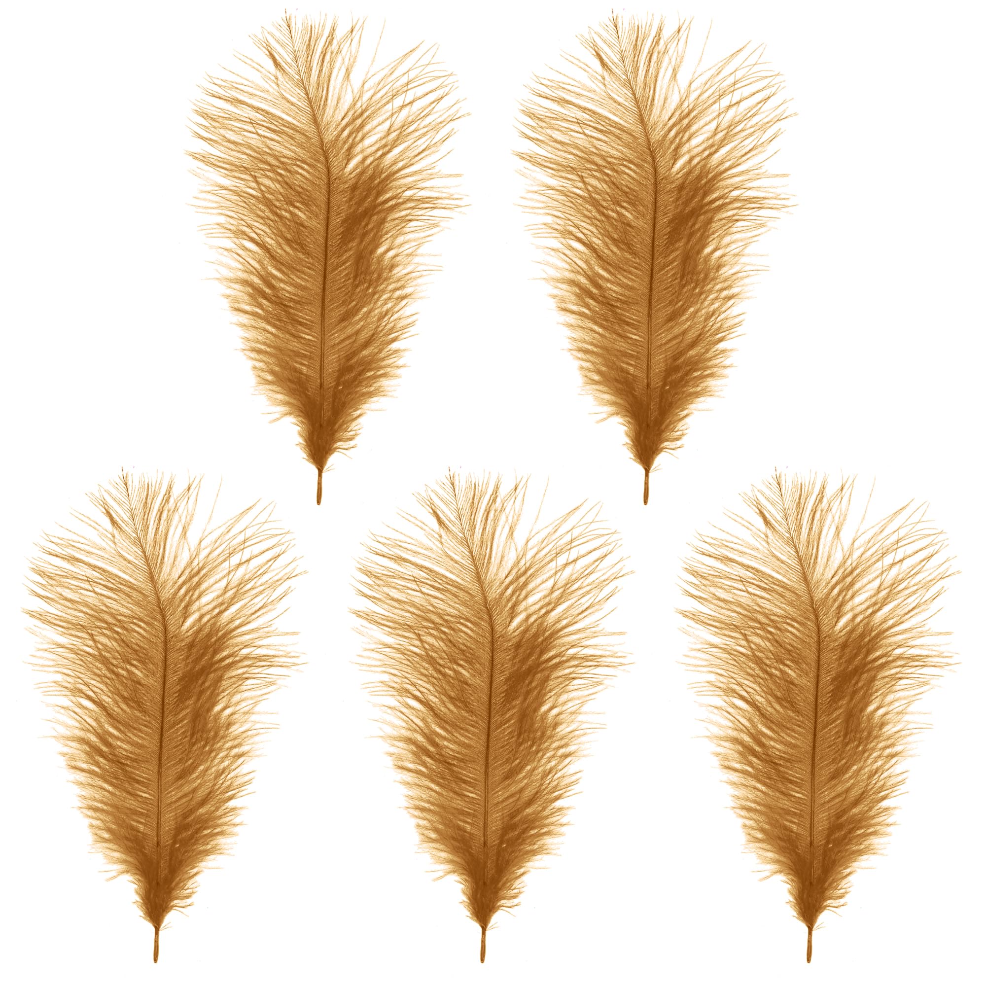 WedDecor Gold Natural Ostrich Feathers 14-16" (35-40cm) Long for Wedding Centerpieces, Home, Decorating Costumes, Embellishment, Art & Craft, Parties (Pack of 5)