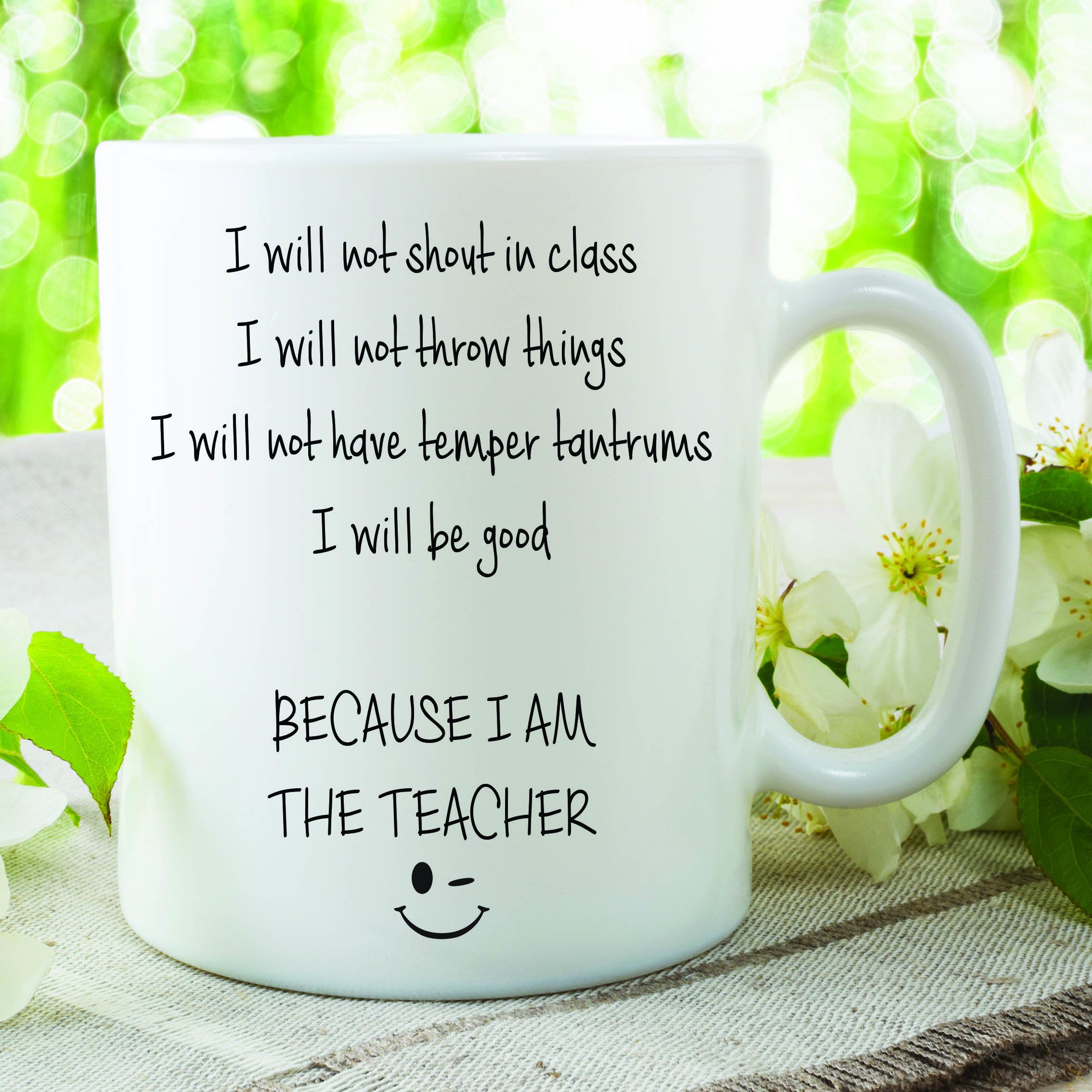 Teacher Mug Novelty Gifts Funny Present Gifts for Her Him Humour Cups WSDMUG827