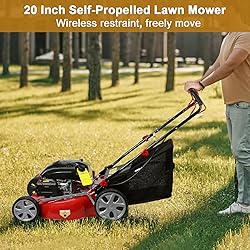 Self-Propelled Gas, 141cc Gas-Powered Push Mower