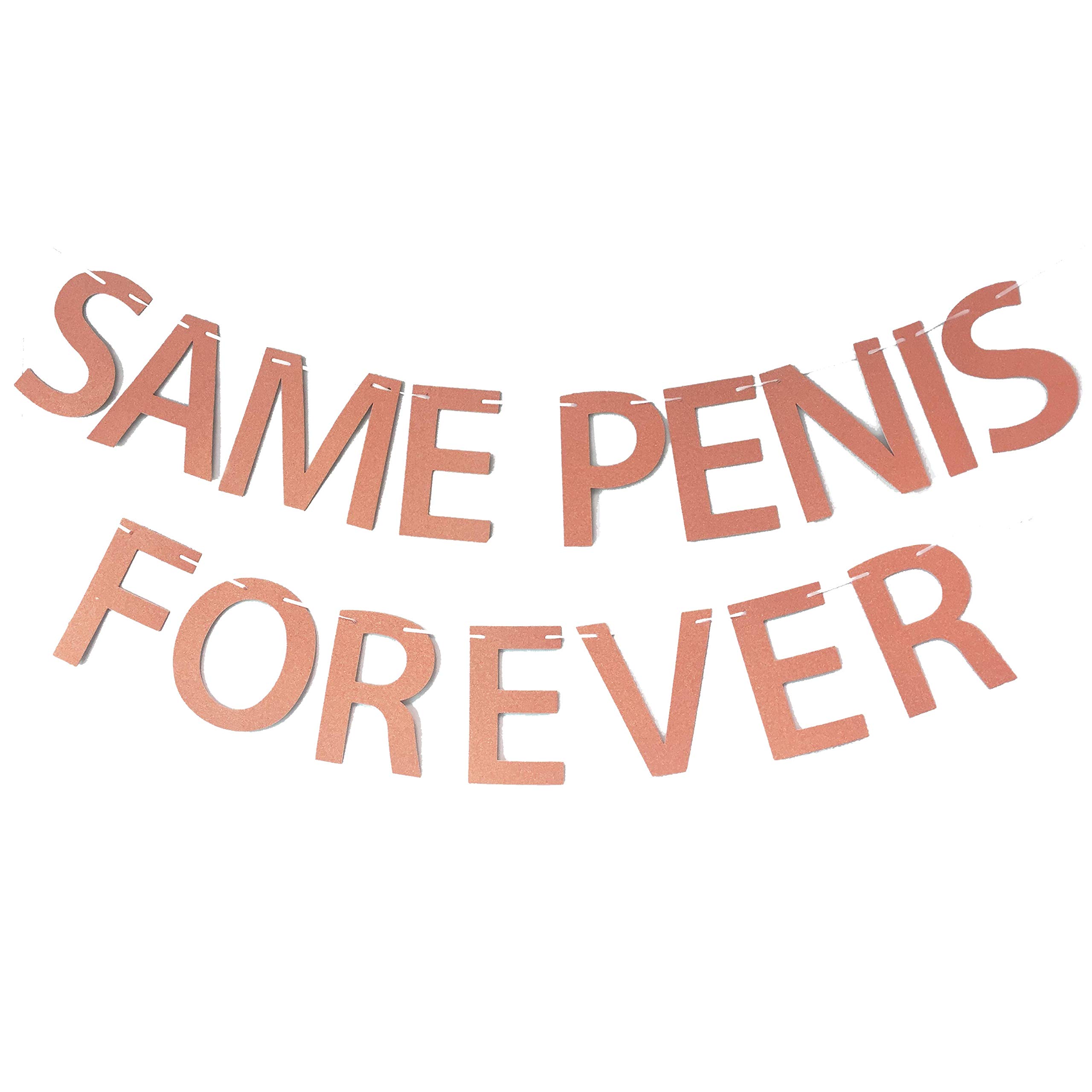 Rose Gold Same P*n*s Forever Banner - Funny Hen Party Banner For Bride To Be
