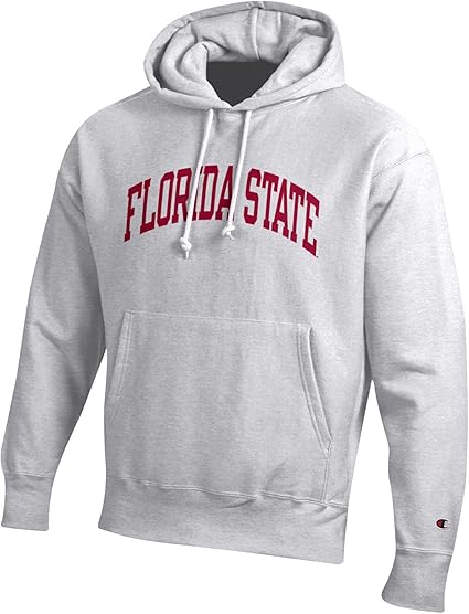 fsu champion hoodie