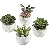 MyGift Miniature Artificial Succulents, Indoor Fake House Plants in Round White Geometric Ceramic Pots, Set of 4