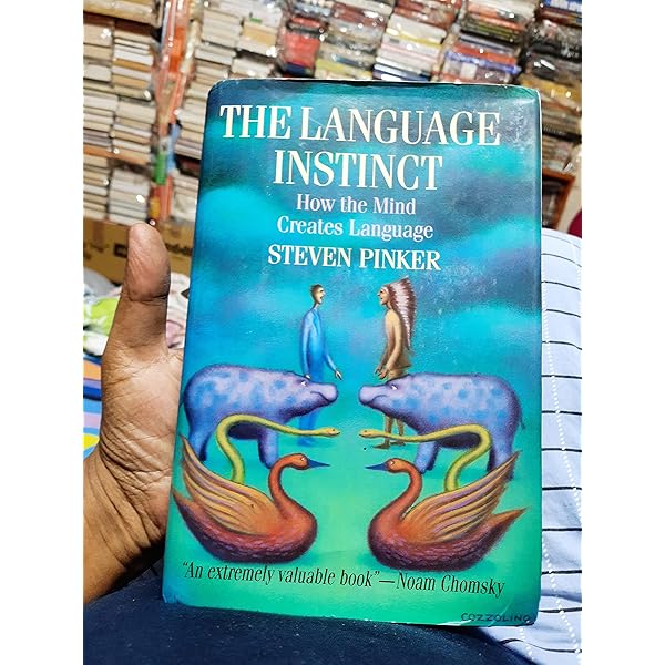 【美品】Chomsky's Universal Grammar Chomsky's Universal Grammar: An Introduction: Cook, Vivian