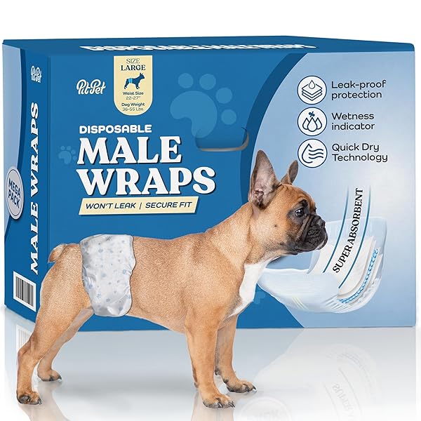 COMFORTABLE MALE DOG DIAPERS – 50-PACK SUPER ABSORBENT DISPOSABLE MALE DOG WRAPS- FLASHDRY GEL TECHNOLOGY, WETNESS INDICATOR DOGGIE DIAPERS- LEAKPROOF BELLY WRAPS FOR INCONTINENCE, EXCITABLE URINATION