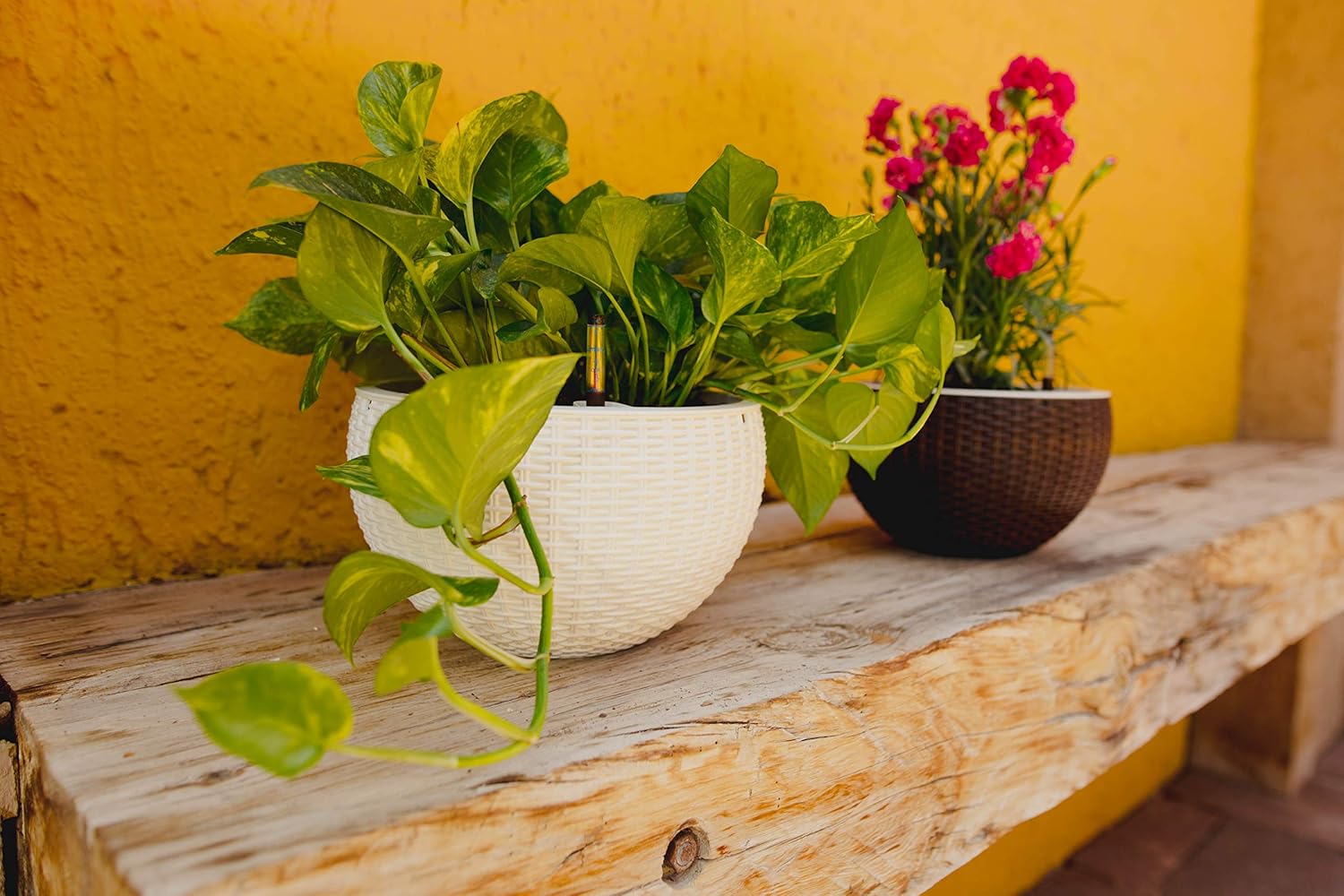 11'' Self Watering Hanging planters for Indoor Plants - Flower Pot with Water Level Indicator for Plants, Hanging pots - Self Watering Planter Plant Pot- Coco Coir - Round 1 Pack – White: Kitchen & Dining