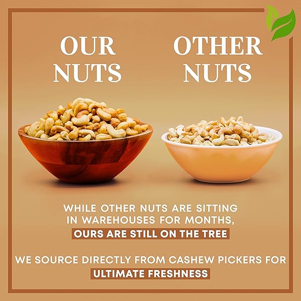 OVEN DRY ROASTED FANCY CASHEWS WITH SEA SALT-48 OZ (3 LB) | WHOLE CASHEWS | NO OIL | NO PPO | VEGAN AND KETO FRIENDLY | MADE FROM NATURAL CASHEWS