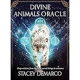 Divine Animals Oracle: Deep wisdom from the most sacred beings in existence (Rockpool Oracle Card Series)
