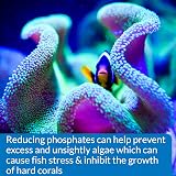 API Phosphate Test Kit 150-Test Freshwater Saltwater Aquarium Water Kit view 6