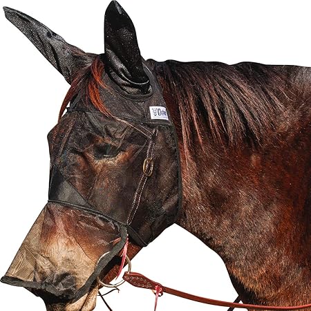 Amazon Com Cashel Quiet Ride Fly Mask With Ears And Long Nose For Mule Donkey Size Arab Cob Small Quarter Horse Sports Outdoors