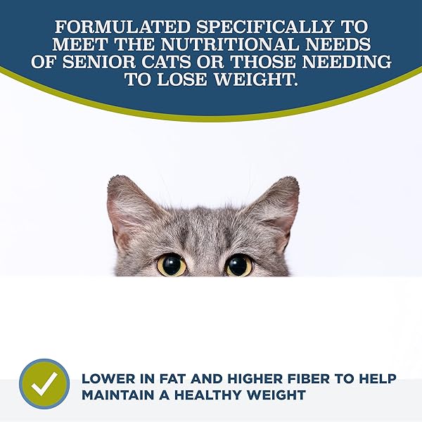 BLACKWOOD DRY CAT FOOD, LEAN / SENIOR FORMULA, CHICKEN MEAL & BROWN RICE RECIPE, 4 POUND BAG, HIGH PROTEIN, SLOW COOKED