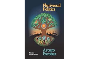 Pluriversal Politics: The Real and the Possible (Latin America in Translation)
