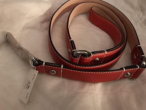 coach dog collar large