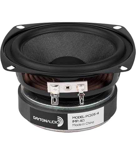 Amazon.com: Dayton Audio RS100-4 4