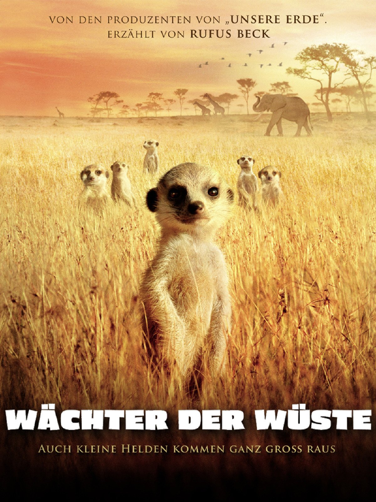Amazon De Wachter Der Wuste Ansehen Prime Video