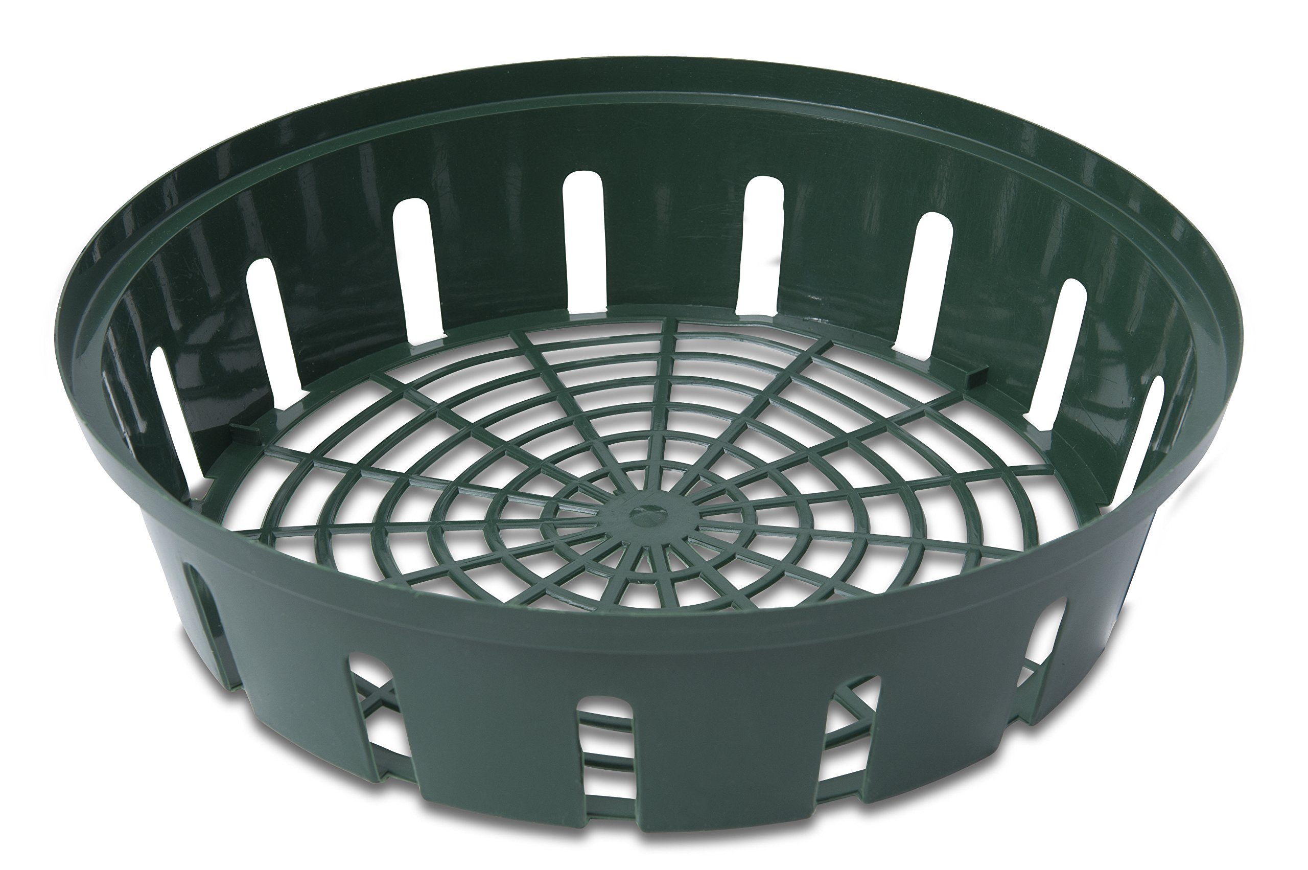 Windhager Propagator – Bulb, Green(Set of 3)