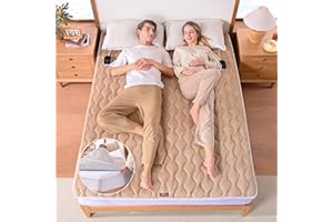 Bearhug Queen Electric Pad, Dual Control Bed Warmer with 10 Heat Level, Auto Shut Off Timer, Zipper Heated Mattress Pad with 
