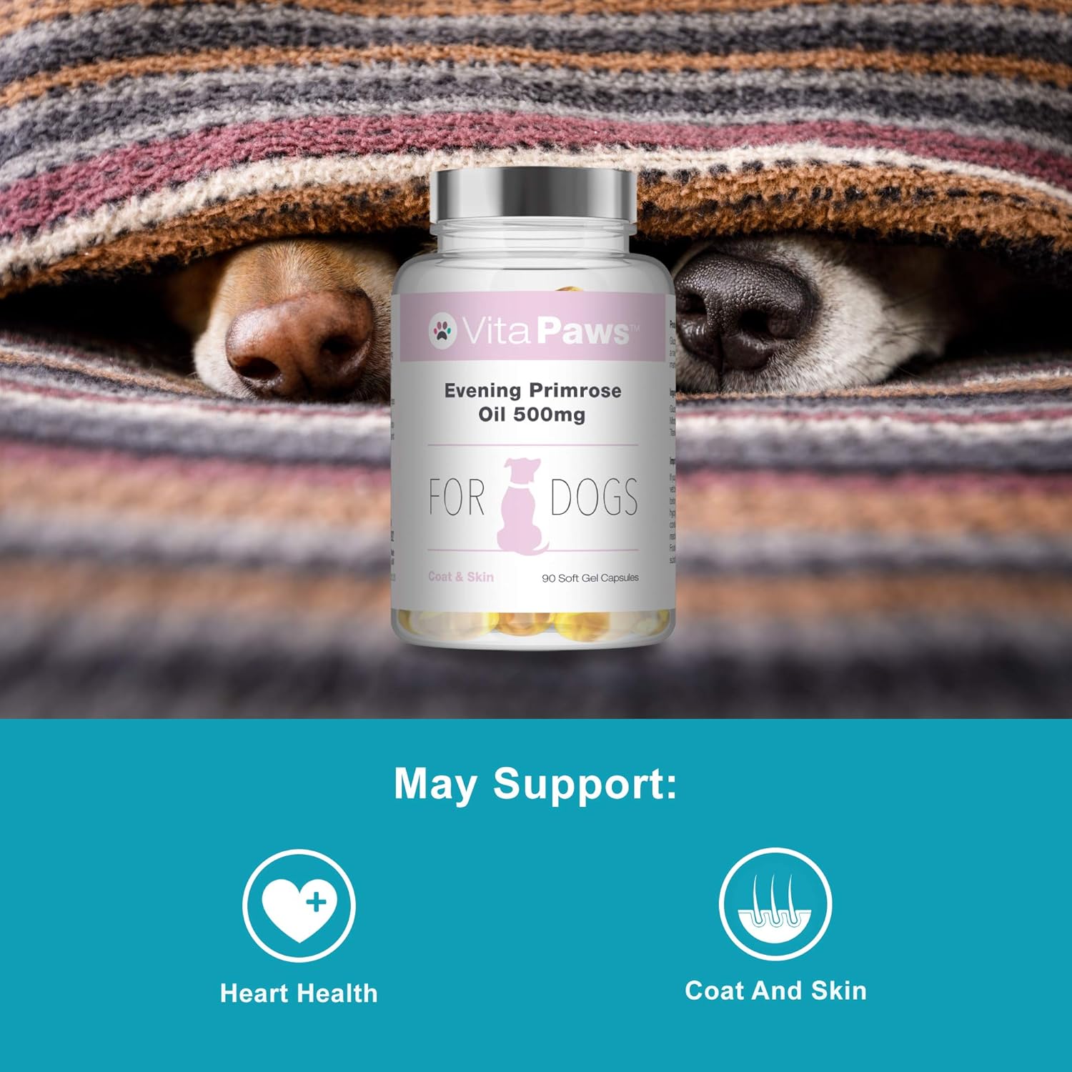 evening primrose oil for dogs hormones