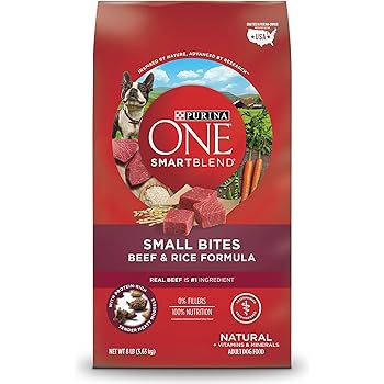 Amazon.com: Purina Beneful IncrediBites With Real Beef
