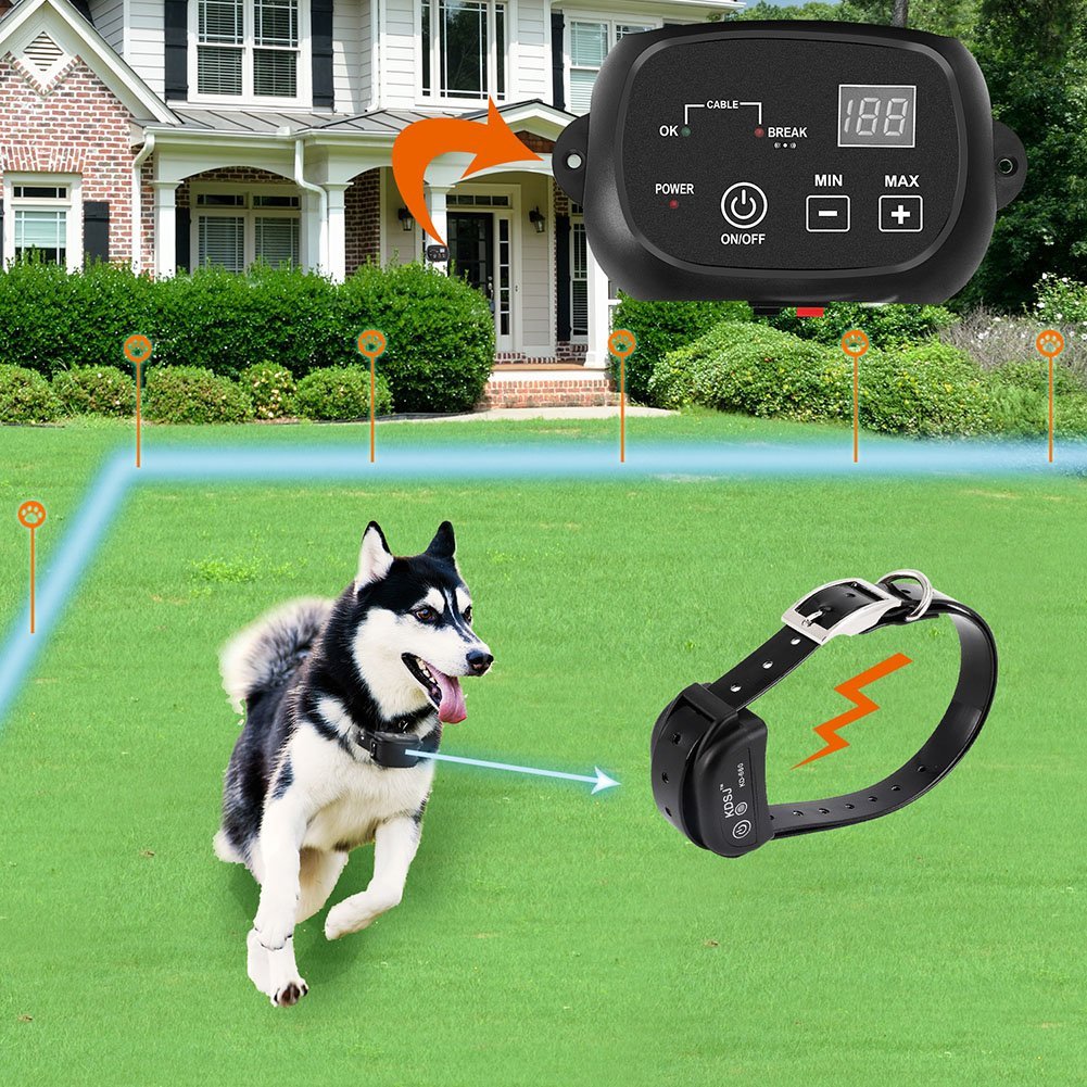 electric fence for dogs