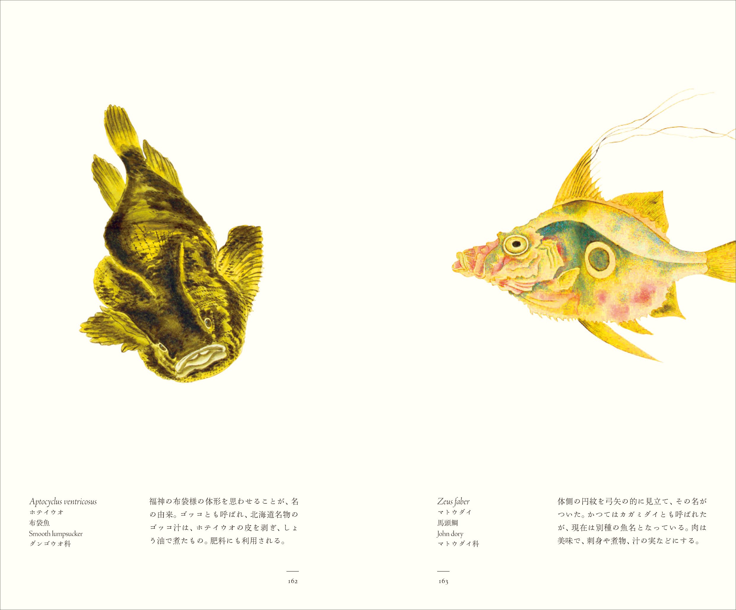 江戸博物文庫 魚の巻u2015u2015u2015水界の王族たち: 9784875024866: Amazon.com: Books