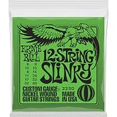 Ernie Ball 12-String Slinky Nickel Wound Electric Guitar Strings, 8-40 Gauge (P02230)