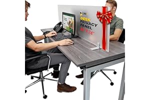 OBEX Acrylic Free Standing Screen, Divider for Desk Privacy Home & Office Partitions for Table Top Workstation, Portable Cubicle Panel for Work, 24" x 24", Frosted