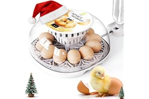 WONEGG Egg Incubators for Hatching Eggs Chicken Eggs Incubator for Hatching Eggs Incubator with Automatic Egg Turner and Temperature Control for Chicken, Duck, Quail 12 Eggs