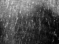 Review Image by Mrs Cook Mrs Cook