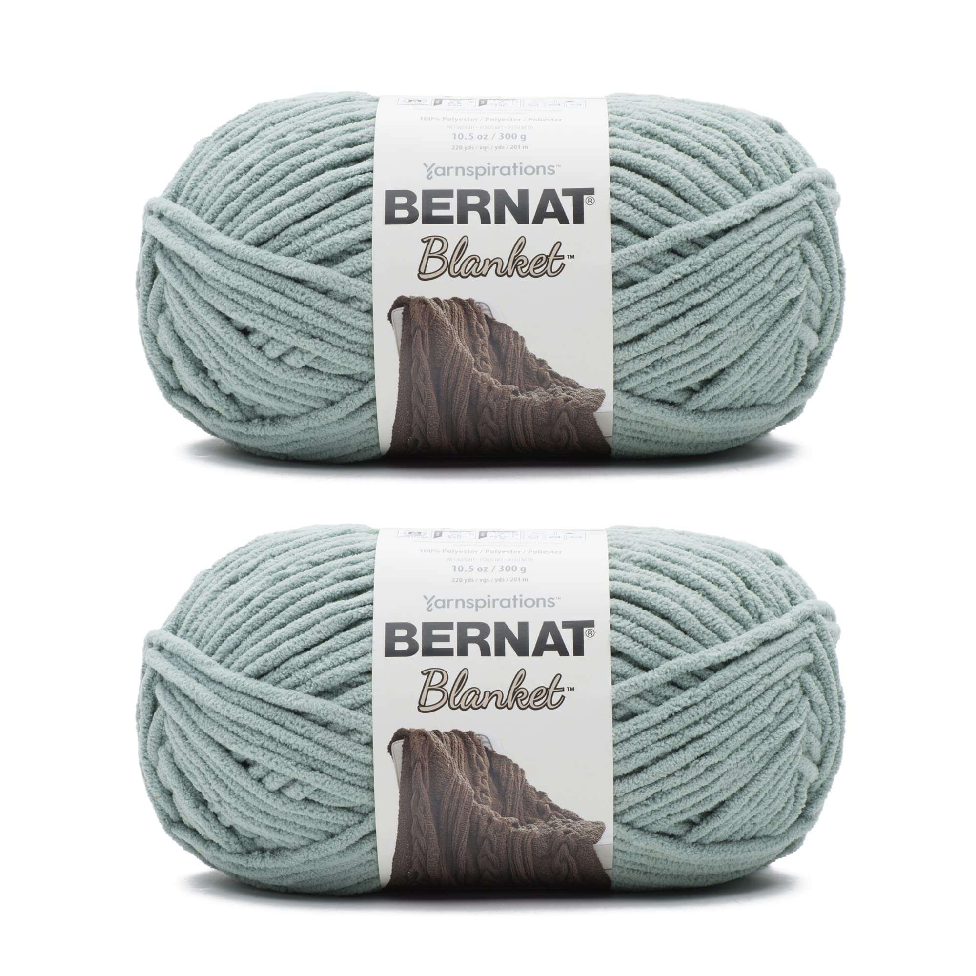 Bernat Blanket Misty Green Yarn - 2 Pack of 300g/10.5oz - Polyester - 6 Super Bulky - 220 Yards - Knitting/Crochet — image 1