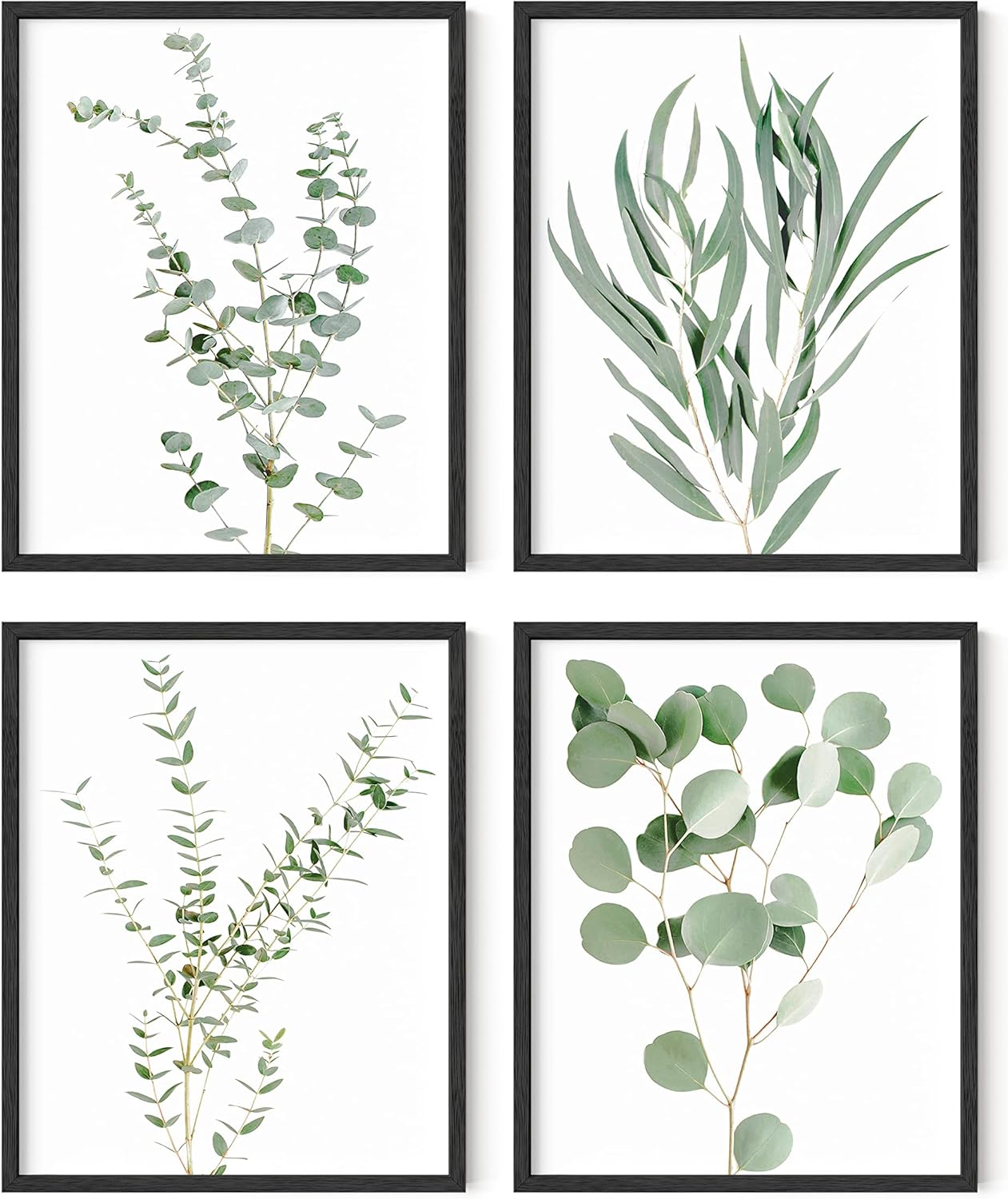 Wall Décor - HAUS AND HUES Botanical Plant Wall Art Prints - Set of 4 Plant Decor Prints, Floral Kitchen Pictures, Flower Leaves Wall Art, Boho Leaf Eucalyptus Wall Décor (8x10, UNFRAMED)