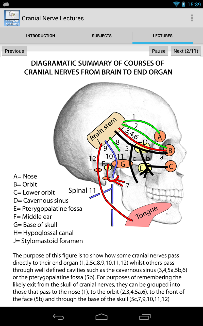 Amazon.com: Anatomy Cranial Nerve Lectures: Appstore for Android