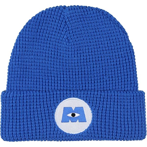 Neff Monsters Inc Embroidered Logo Fold Cuff Adult Beanie OSFM