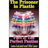 The Prisoner in Plastic: Part III: The Perfect Panties
