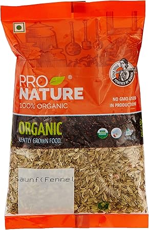 Pro Nature 100% Organic Saunf (Fennel) 100g