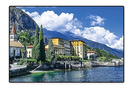 Amazon.com: Alfombra de área de colección antigua piedra ...