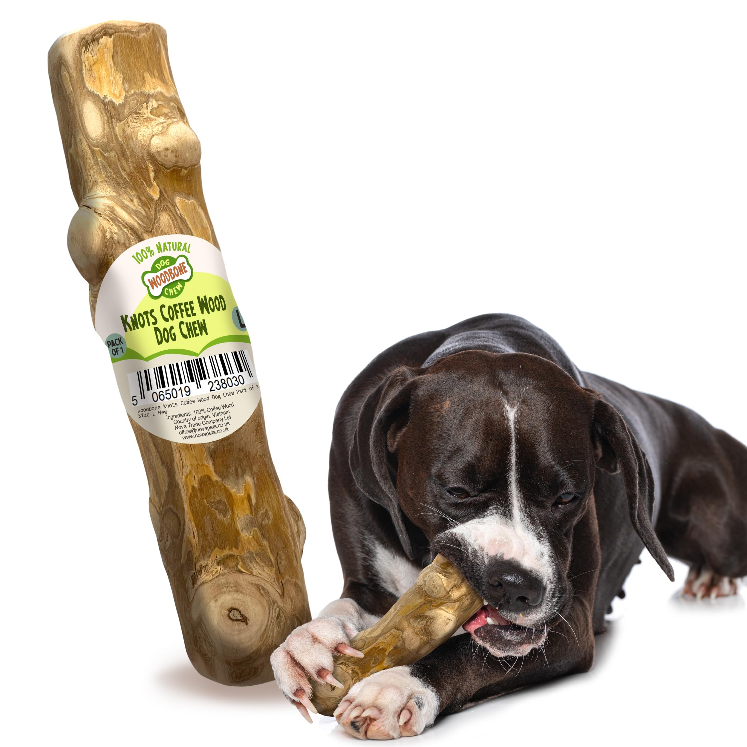 Woodbone Knots Coffee Wood Dog Chew Toy for Large Dogs - Natural Wood Knots Branch Chewing Stick - Pack of 1 Size L