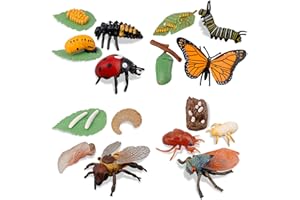 Toymany 16PCS Insect Figurines Life Cycle of Monarch Butterfly,Honey Bee,Cicada,Ladybug, Plastic Caterpillars to Butterflies Bug Figures Toy Kit Educational School Project for Kids Toddlers