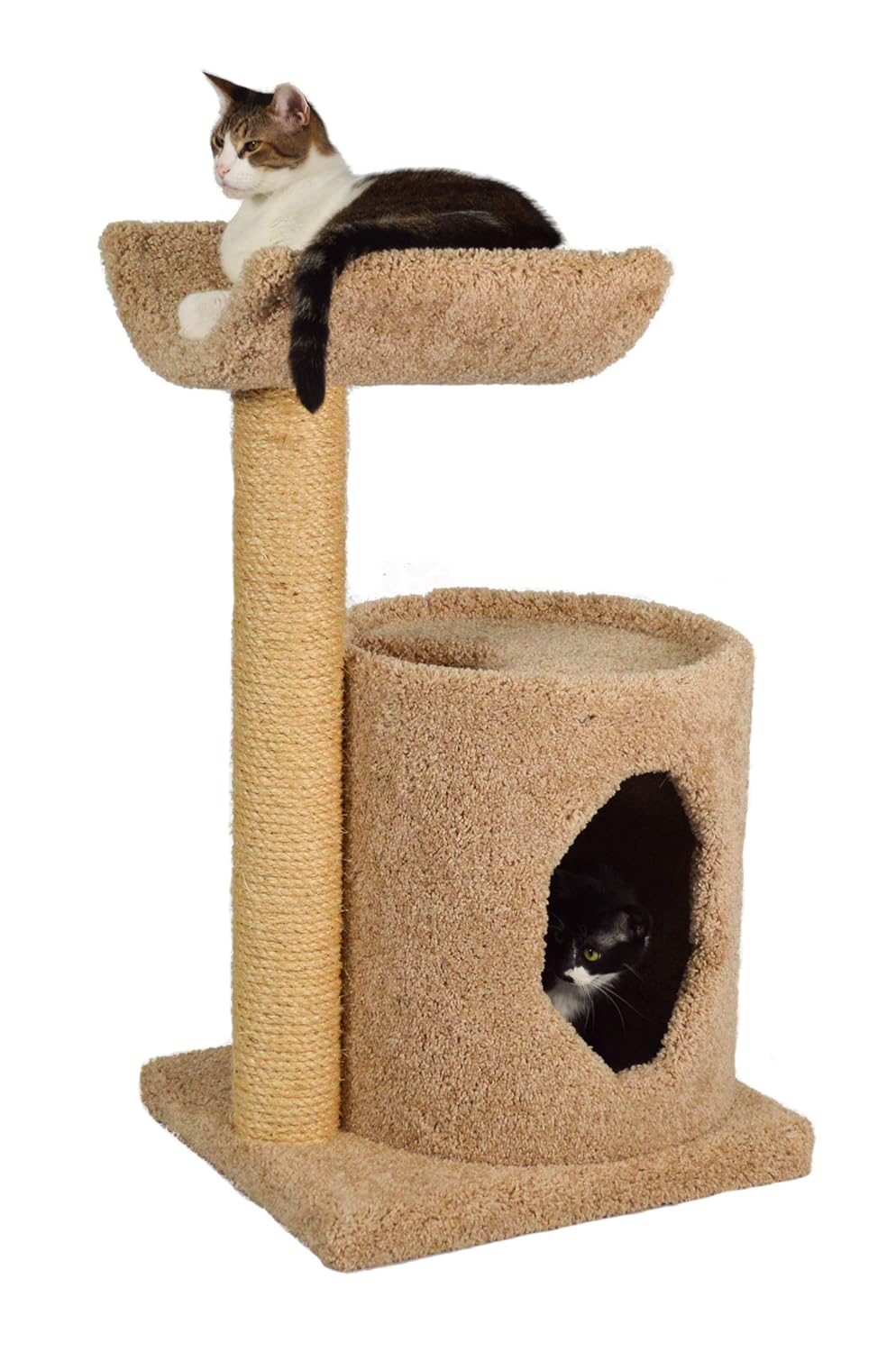 Molly and Friends TwoTier Scratching Post Furniture free shipping dr