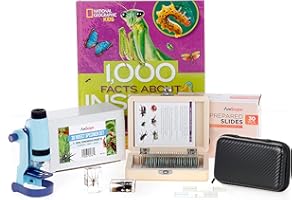 IQCREW by AmScope - Insect Discovery Set, 60X-120X Portable Handheld Battery-Operated Microscope, Prepared Slides Set, 1000 Facts About Insects Book and Carrying Case - HH612-INST