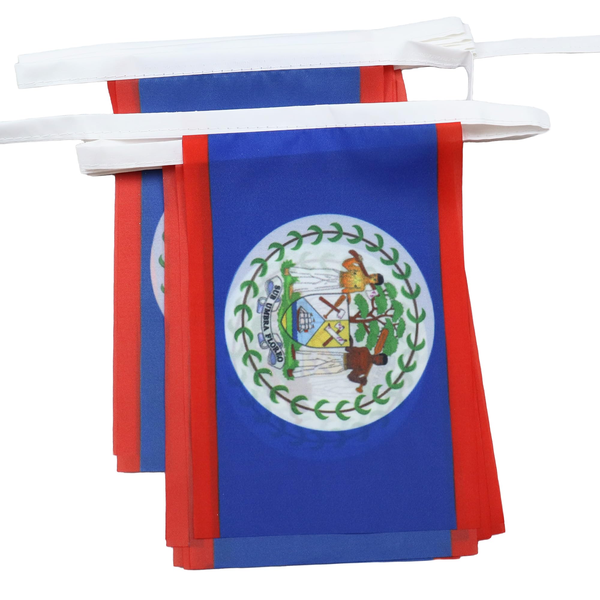 AZ FLAG - Belize Bunting Flag - 40 Ft Garland with 20 Belizean Flags 18'' x 12'' - 100% Polyester String Pennant - 12 meters