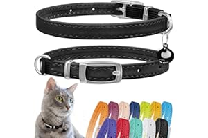 CollarDirect Leather Cat Collar with Bell - Kitten Collar, Small and Big Cat Collar for Boy Cats, Girl Cats with Safety Elast