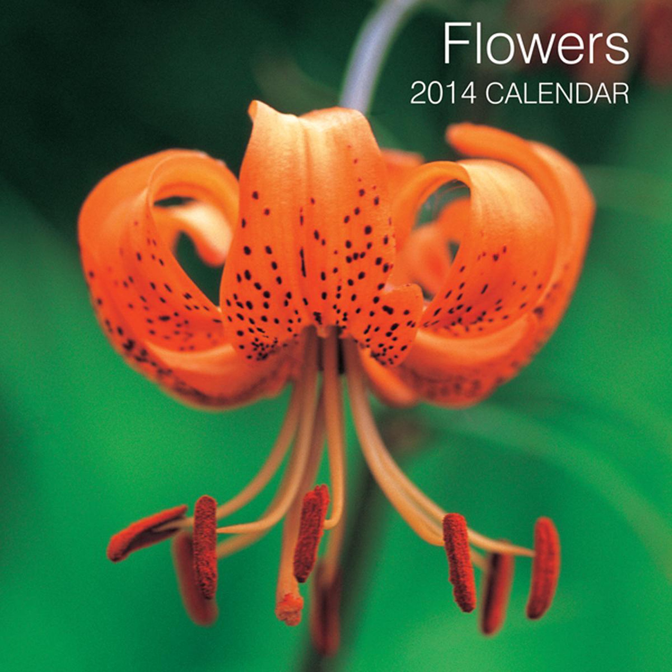 2014 Calendar Flowers 12Month Calendar Featuring Stunning