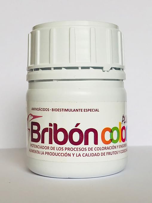BRIBON stc. ® 100 ml. Nano Concentrado (10.000 m2). Potente ...