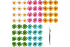60Pcs Dried Daisy Pressed Flowers - YouthBro Real Nature Flowers Set for Resin DIY Jewelry Candle Soap Vase Making Nail Card Scrapbook Art Craft Floral Decors