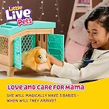 Little Live Pets Mama Guinea Pig with Hutch and 3 Babies 20+ Sounds view 2