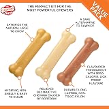 Nylabone Extreme Tough Dog Chew Toy Bones Peanut Butter Chicken Bacon 3-Piece view 4